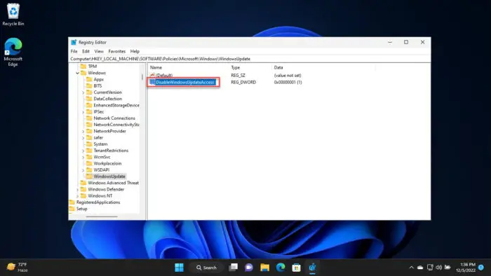 DisableWindowsUpdateAccess value in Windows Registry