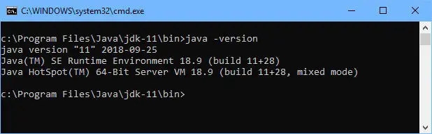 Java 11 version check