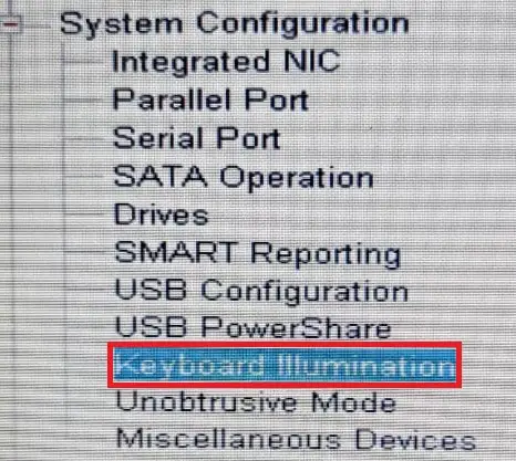 keyboard illumination bios