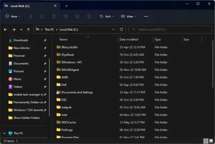 Protected and hidden items showing in File Explorer